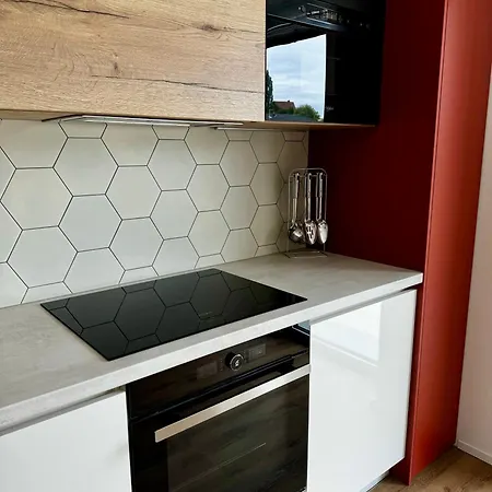 Apartment Zlata Louka Cheb