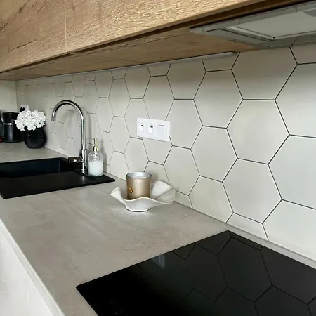 Zlata Louka Apartment Cheb